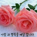 매일국민가수 재방송 봐요 이미지