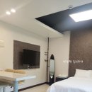 츄츄애견 이미지