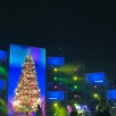 제1회 무안아트페스타 | 대구 무료 전시 제1회 수성미디어아트페스타(SuMAF) 2025 후기 I 수성구가볼만한곳 찾고 있다면 바로...