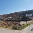 내산보건진료소 네이버블로그