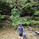 가리산 자연휴양림에서의 2박 3일 여름휴가 후기🍃