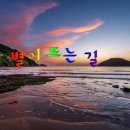 별이 뜨는 집 이미지