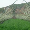 꿈꾸는 농장 이미지