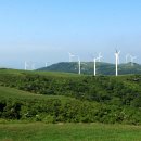 동양목초 이미지