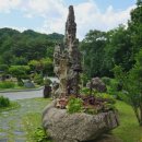 수목원 이미지