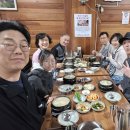 벚꽃다례 이미지