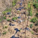 광주농장 이미지