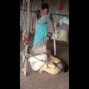 바람피다 걸린남편 이미지