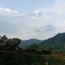 산은 언제나 그 자리에 있다 이미지