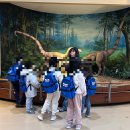 서대문자연사박물관 이미지