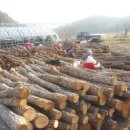 장흥농장 이미지