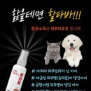별빛약국 이미지
