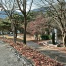 장성공원1 이미지