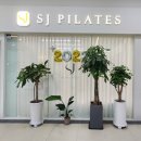 R&R PT STUDIO 이미지