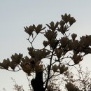 우장산역 1번출구 이미지