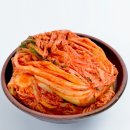 인큐텐라이프