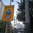 서초구 자유수영, 강남 서일체육문화센터에서 황제수영한 후기