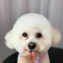 큐티살롱