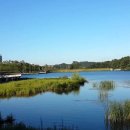 일산호수공원 가로수길 이미지