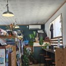 토야푸드 | 이시가키 점심 음식점 후기 - 몬커리, 마츠무토야