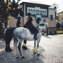 Playa(플라야) 이미지