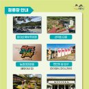 11월 2주차 진안군 주간 소식 알림 이미지