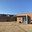 한동리브로콜리 이미지