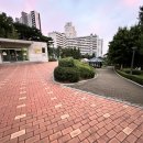 이촌근린공원 이미지