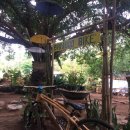 야망농장 이미지