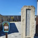 보련농장 | 장미산 (337)