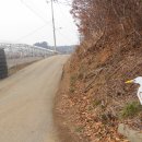 대부해솔길 5코스 이미지