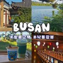 카페나무1298 | 부산 대형 한옥카페 '앙로고택':낙동강뷰 야외넓은 좌석(사진스팟,실내석,넓은주차장)