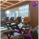 에스투짐 이미지