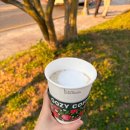 카페파스쿠찌 (서산호수공원점) | [충남] 우지커피 서산호수공원점 후기