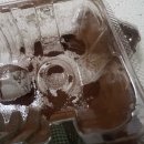 교육로 | 두쫀쿠 일기 : 이웃집 통통이 택배 후기, 목포 레브 케이크샵, 목포 카페 감땅 후기