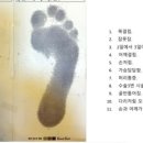 통탈의원 이미지