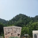 [원주] 원주 가볼 만한 곳 소금산 그랜드밸리/ 출렁다리, 울렁다리 방문 후기