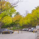 침산근린공원(2)