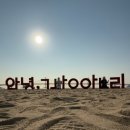 중앙로223번길 | [점례's의 연휴②] 부산 뚜벅이 여행 제대로 즐기기