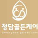 골든바인 이미지