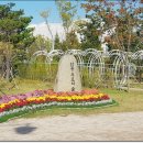 한중우호의숲 이미지