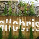 할로브리즈 이미지