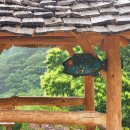 보현정사 앞 이미지