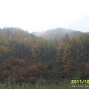 두원농장 이미지