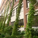 제비초등학교 이미지