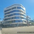 디오션 수 약국 이미지