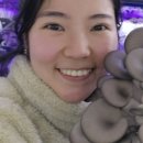 두리농장3 이미지