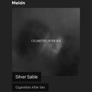 Cigarettes After Sex - Silver Sable [ 감성노래 / 분위기있는음악 ] 이미지