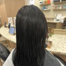 퍼시픽 티지 이미지