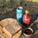 산포리별 | 지금까지 내 최애 백패킹 박지는 울진 왕피천 소나무숲